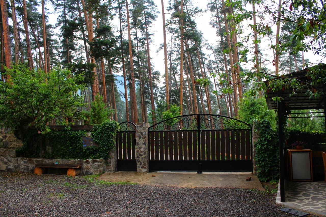 Guest House On Meskheti Borjomi Dış mekan fotoğraf
