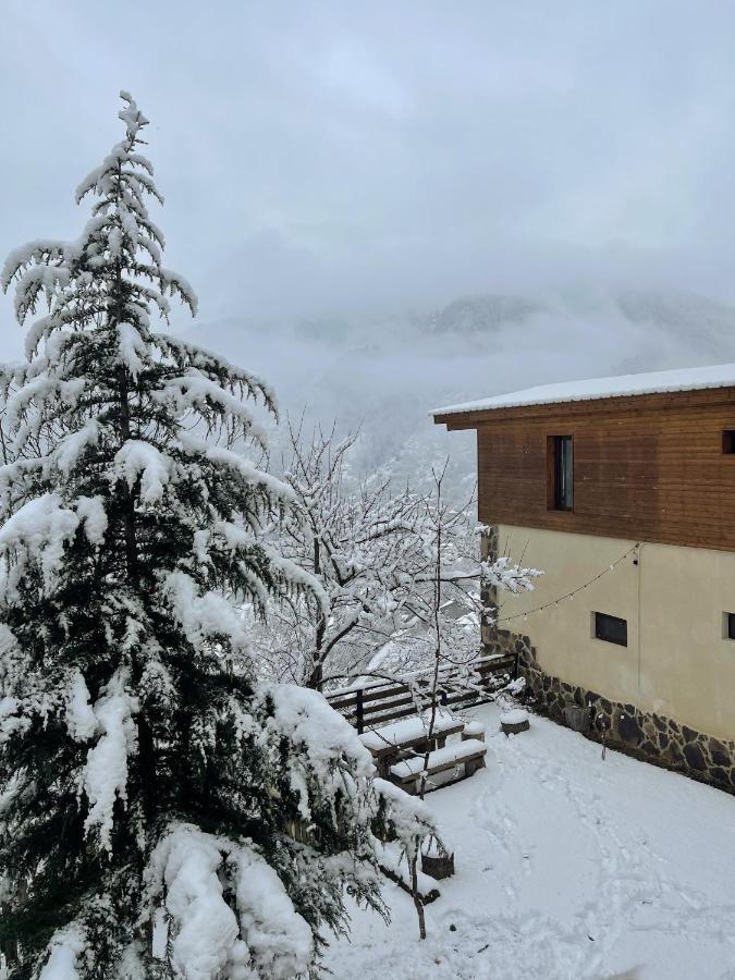 Guest House On Meskheti Borjomi Dış mekan fotoğraf