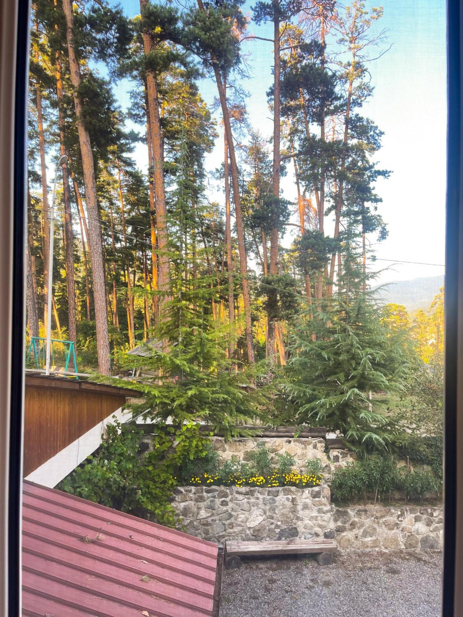 Guest House On Meskheti Borjomi Oda fotoğraf