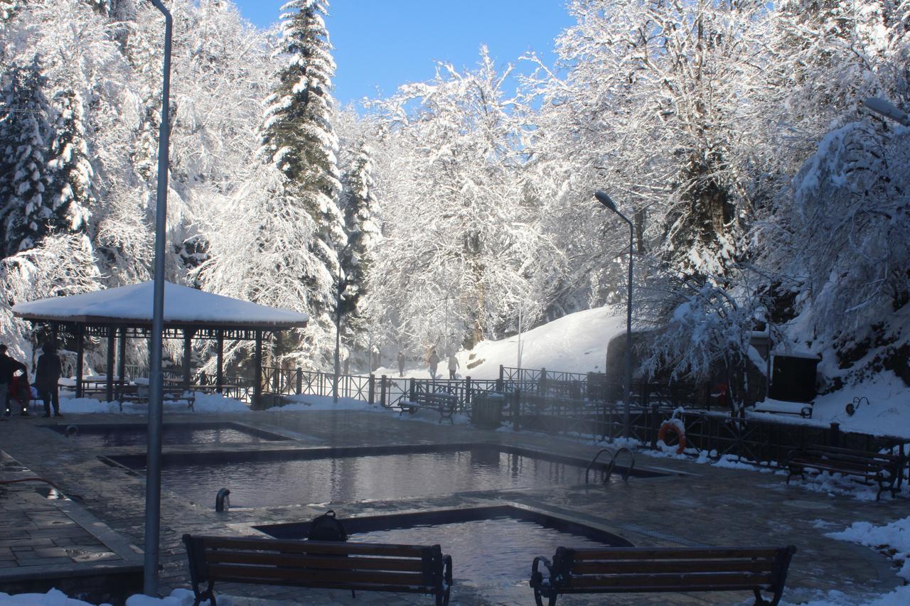 Guest House On Meskheti Borjomi Dış mekan fotoğraf