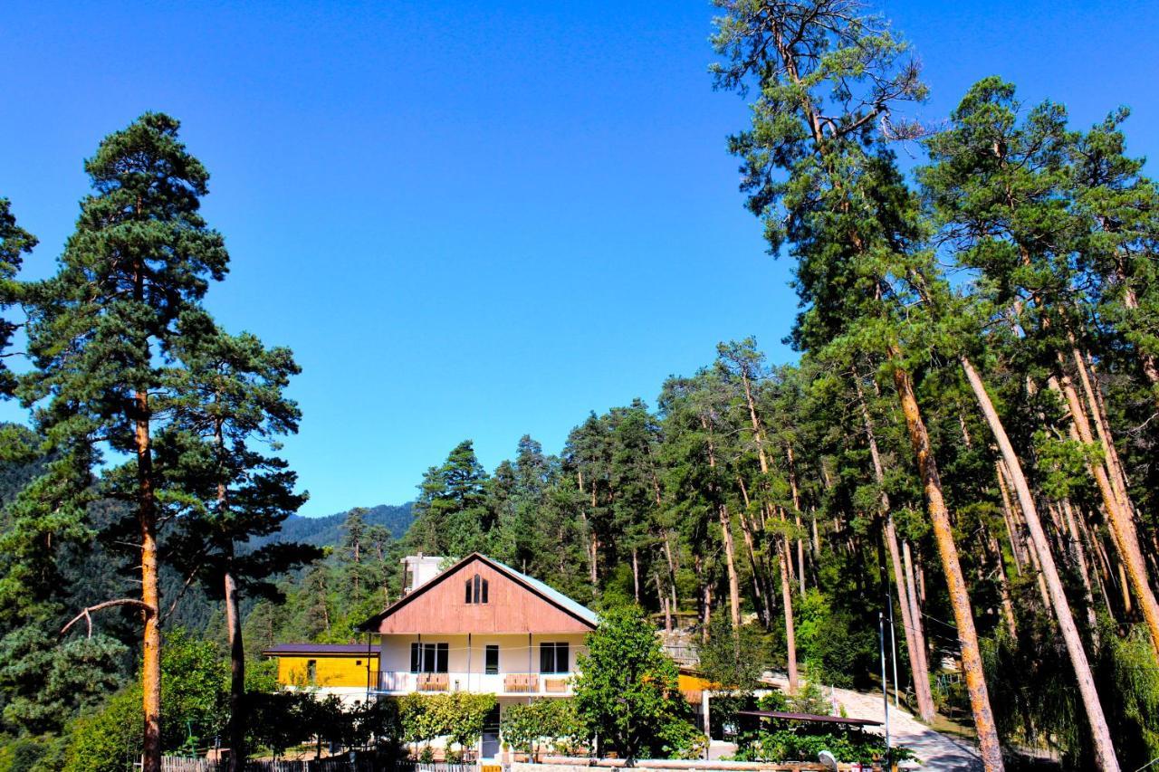Guest House On Meskheti Borjomi Dış mekan fotoğraf